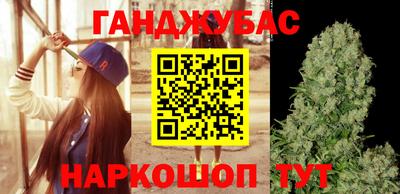 крисы Кунгур