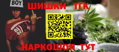 крисы Кунгур