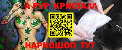 крисы Кунгур