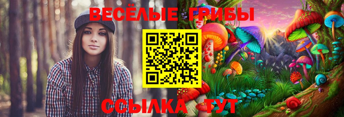 Псилоцибиновые грибы Magic Shrooms Азов